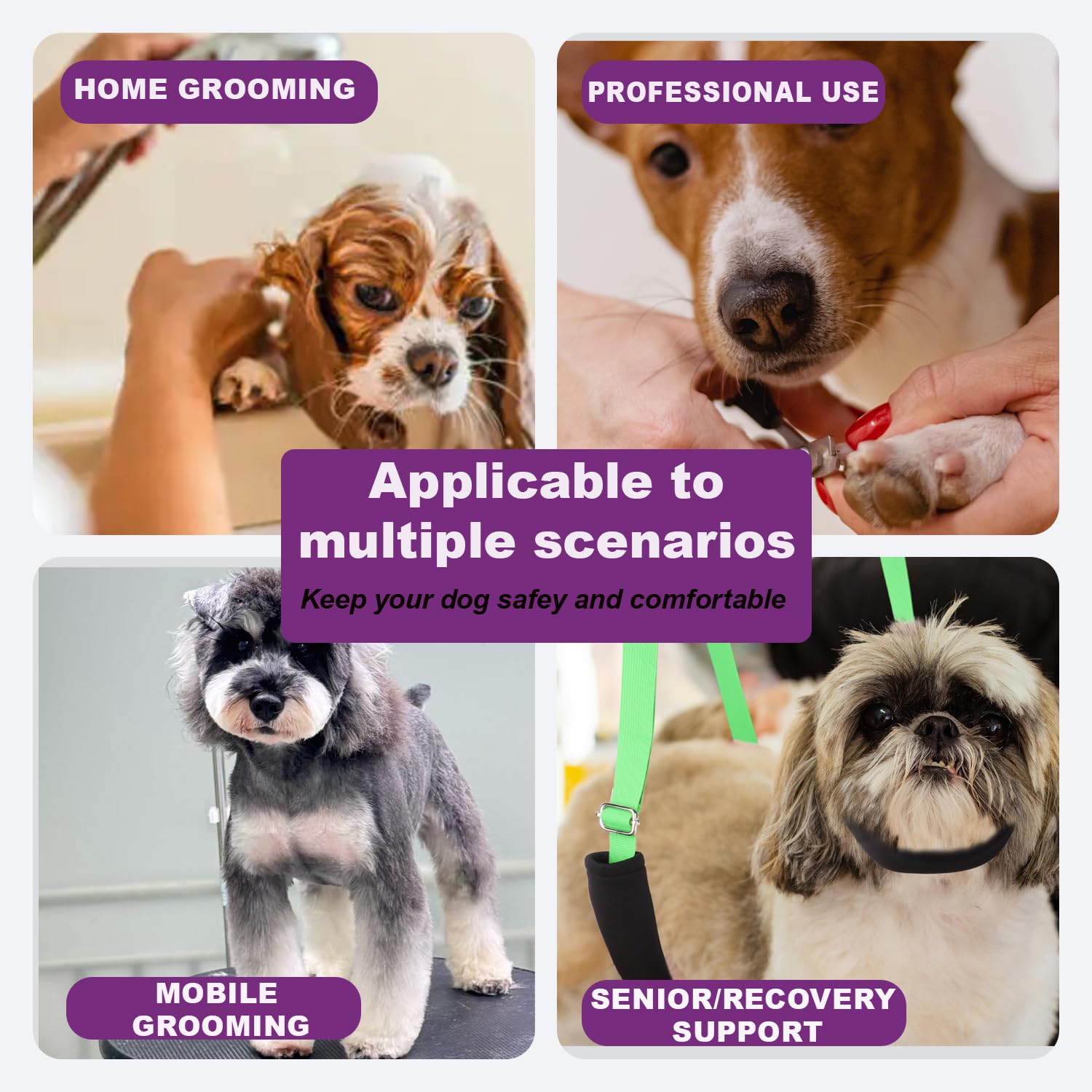 DISCPETSEC set chien sur table de toilettage, exemple d'utilisation en salon.