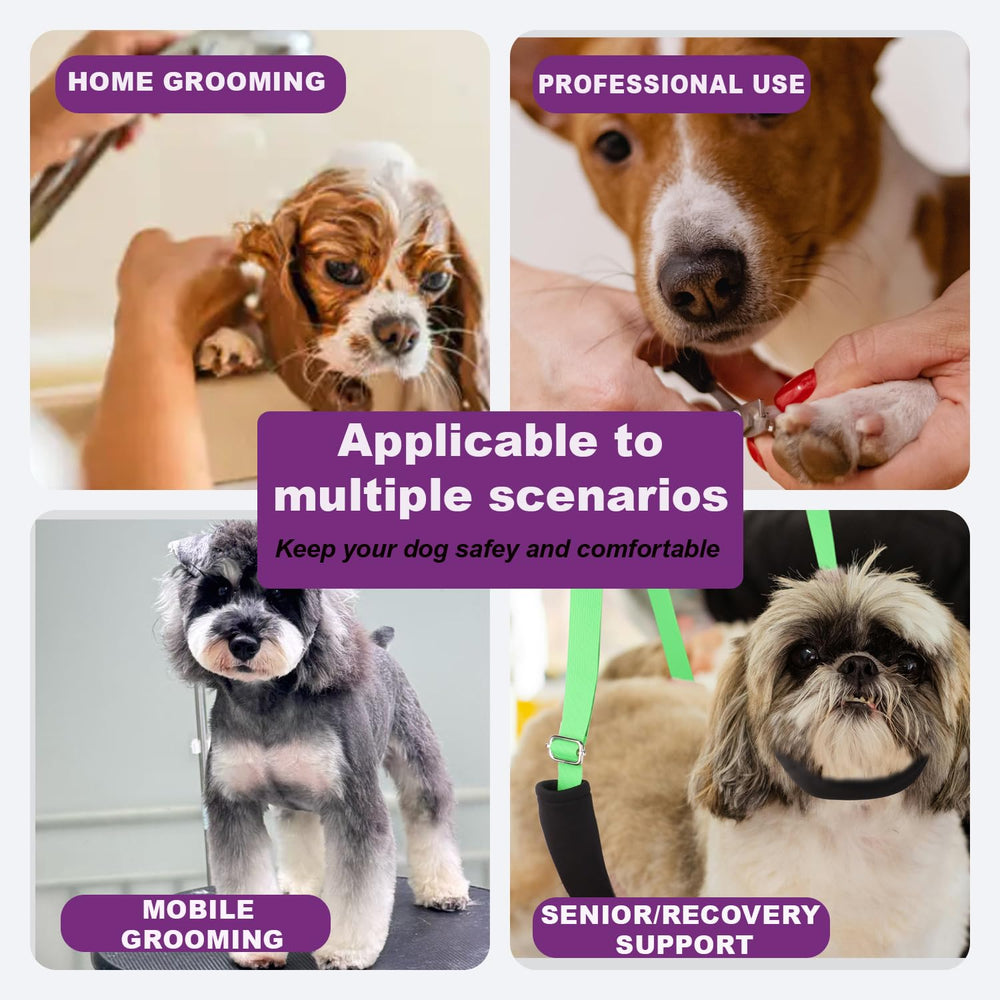 DISCPETSEC set chien sur table de toilettage, exemple d'utilisation en salon.