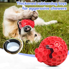 Balle flottante DISSKNIC, idéal pour les jeux aquatiques avec les chiots.
