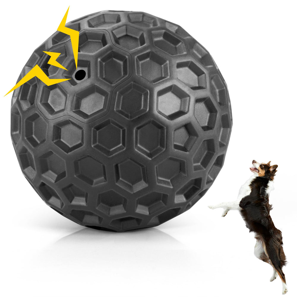 Balle DISSKNIC sifflet indestructible pour gros chien, sessions dynamiques.