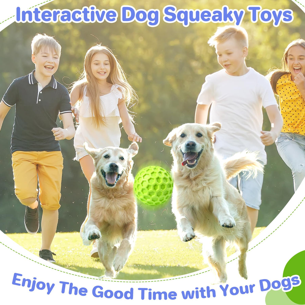 Jouet interactif DISSKNIC favorisant l'interaction maître-chien