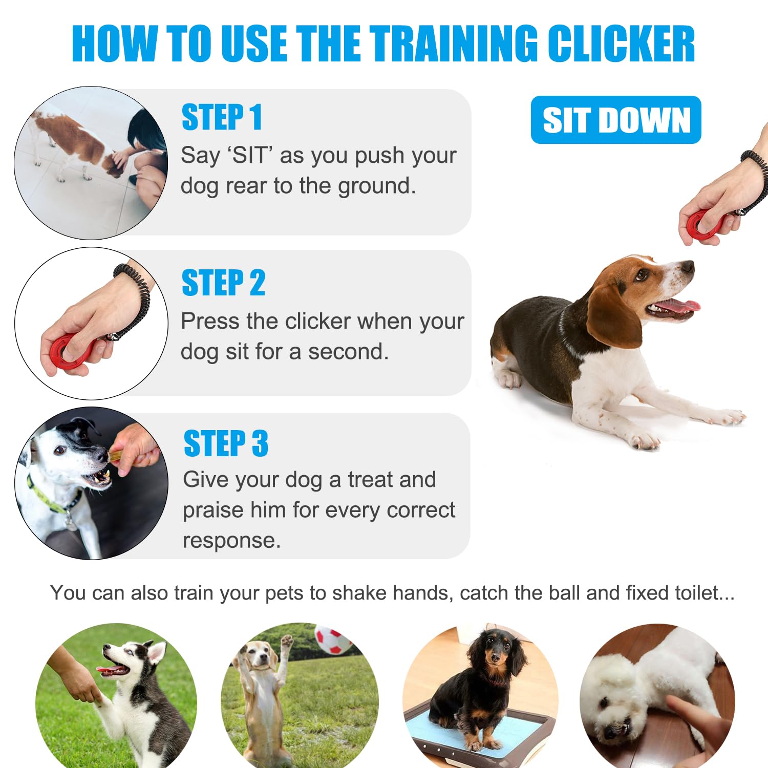 Diyife Clicker chien jaune dans la paume, renforcement positif facile