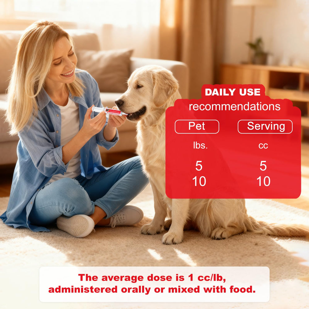Diytoolsman Charbon actif, soutien digestif doux pour animaux en déplacement.