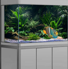 Arrière-plan Dizifinn lac tropical pour profondeur visuelle.