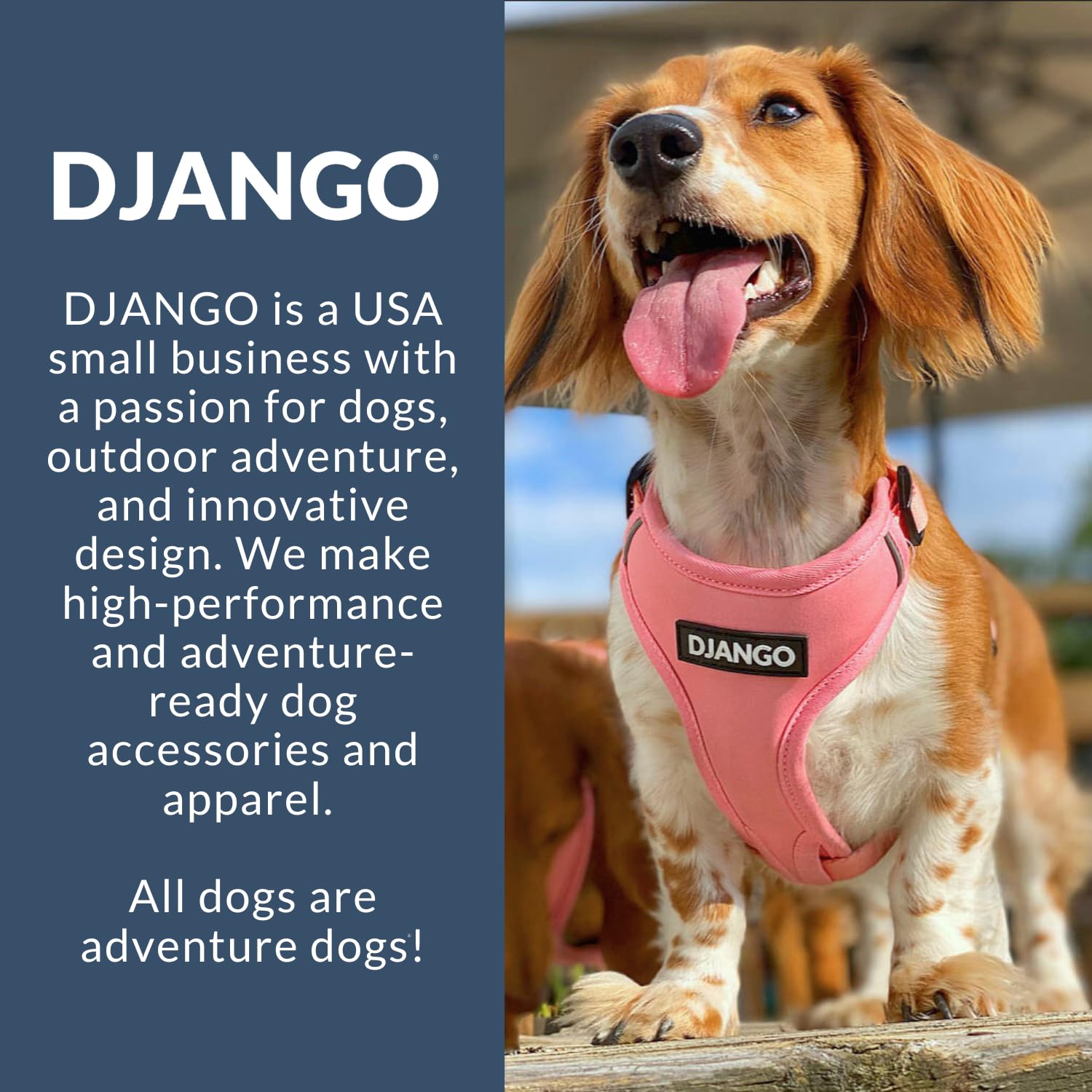 DJANGO Adventure réglages en quatre points pour ajustement personnalisé.