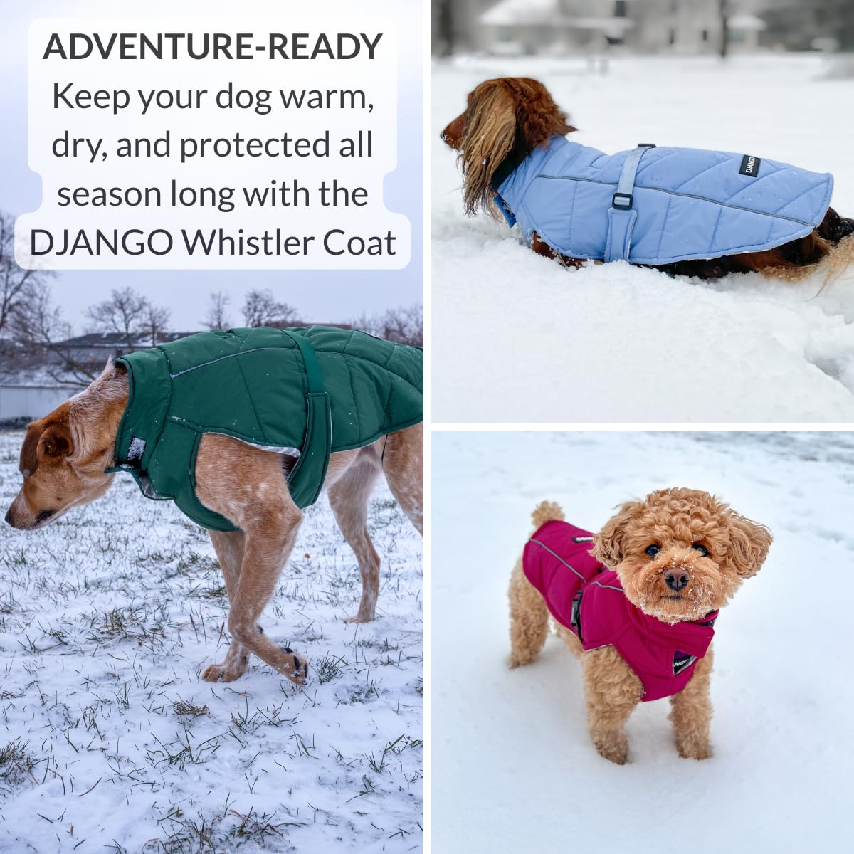 DJANGO manteau chien couverture complète pour torse et ventre.