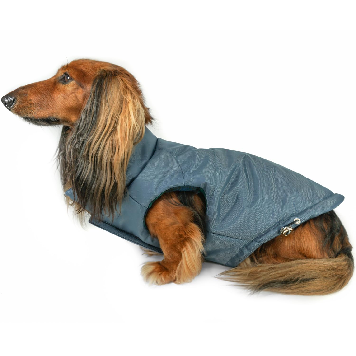 DJANGO doudoune réversible pour chien — vue avant, protection extérieure en bleu crépuscule