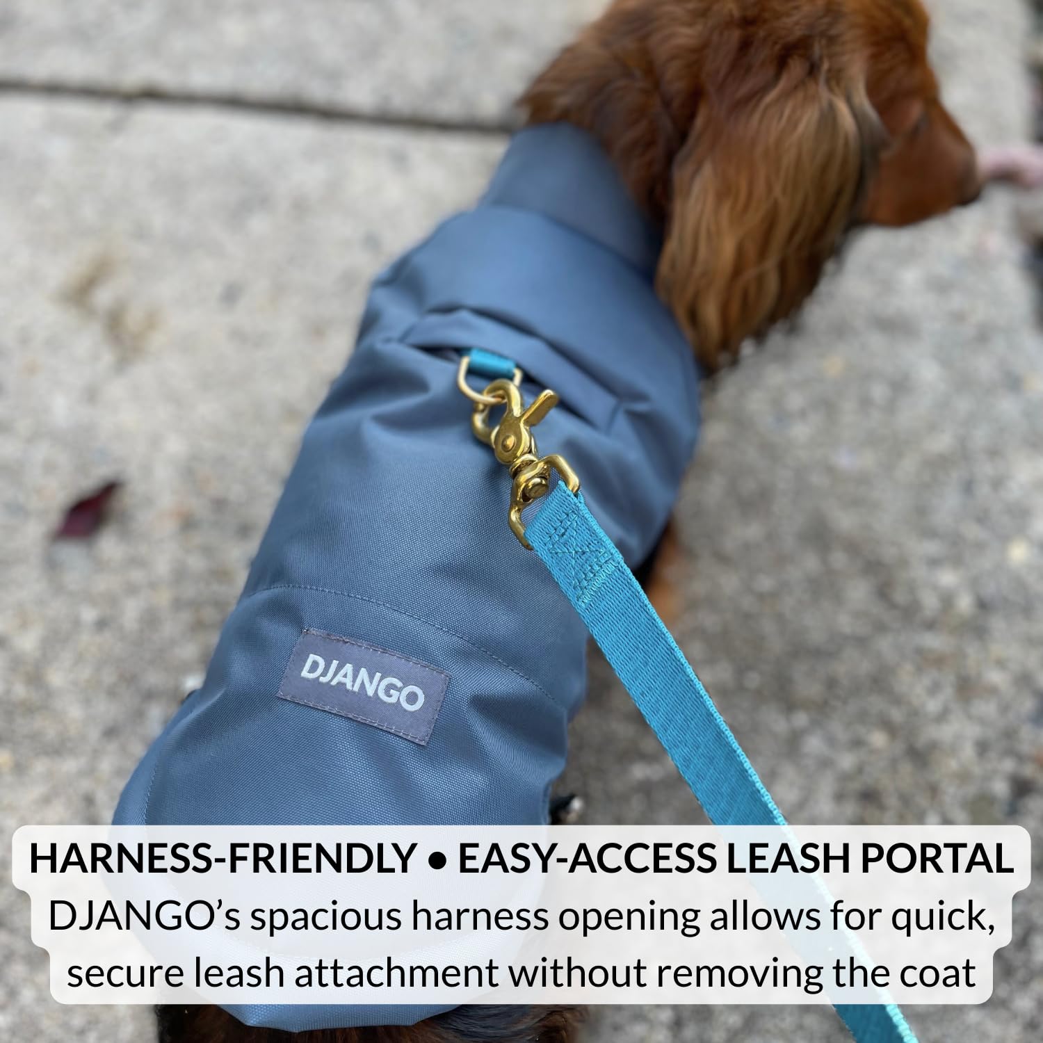 DJANGO doudoune réversible pour chien — coque imperméable et coupe-vent contre la neige