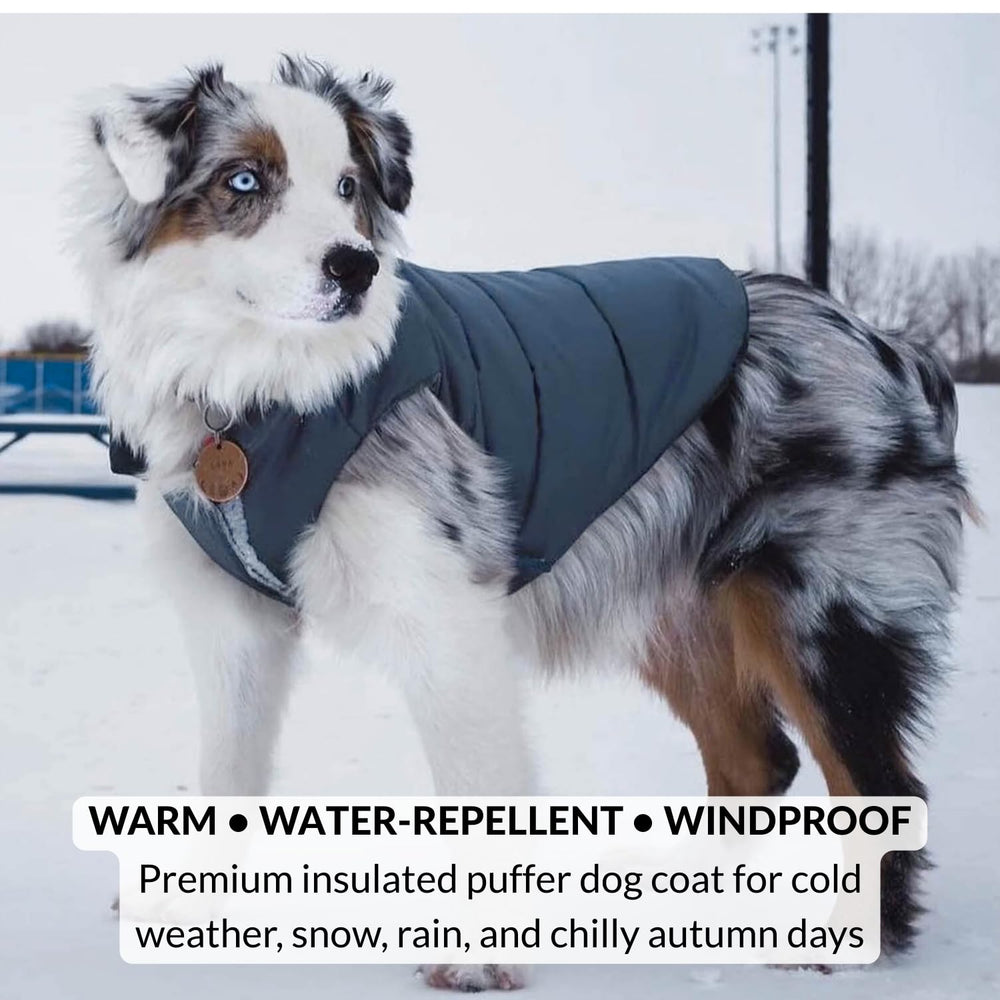 DJANGO doudoune réversible pour chien — intérieur chaud et motif élégant