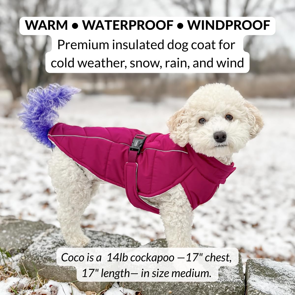DJANGO gilet chien doublure isolante: chaleur douce lors des sorties.