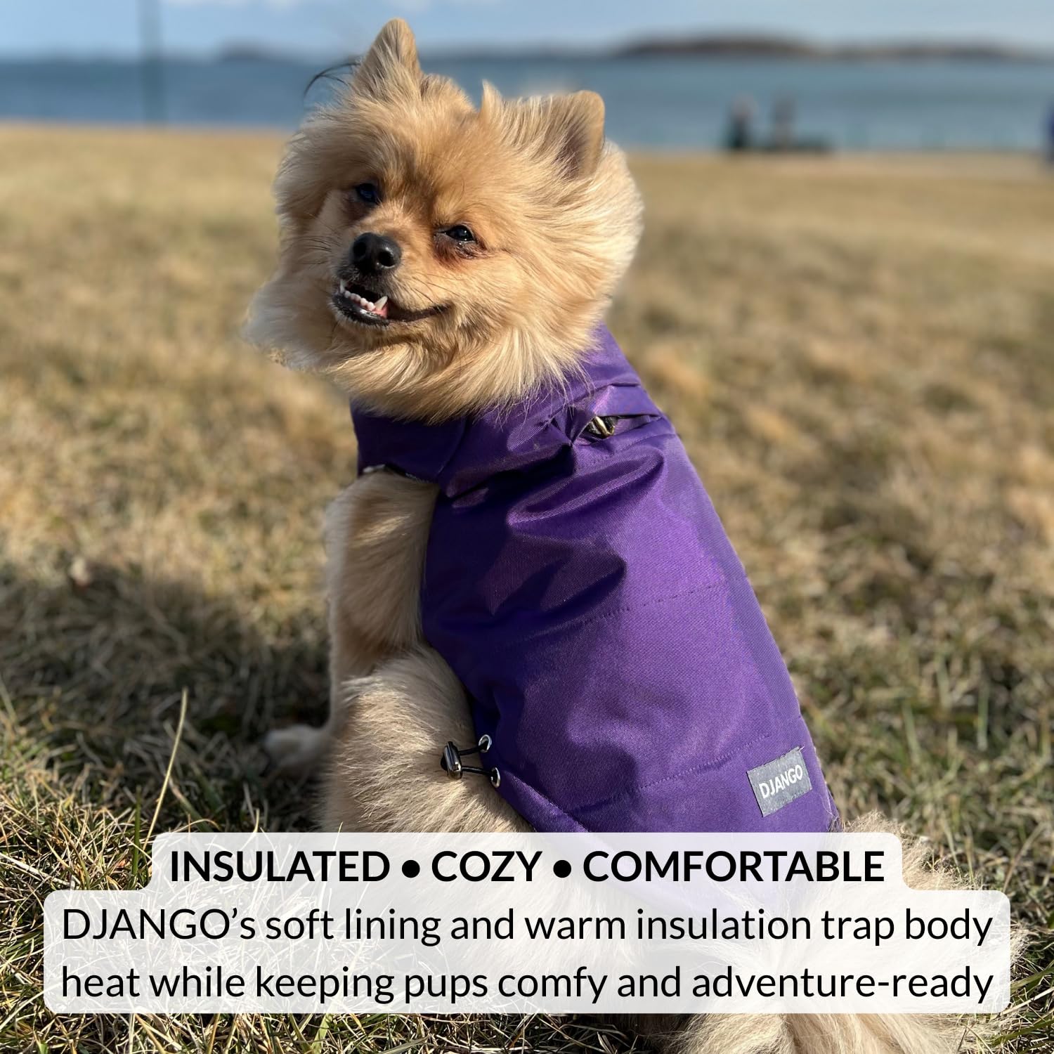 Guide des tailles Django — trouvez l'ajustement parfait pour votre chien.