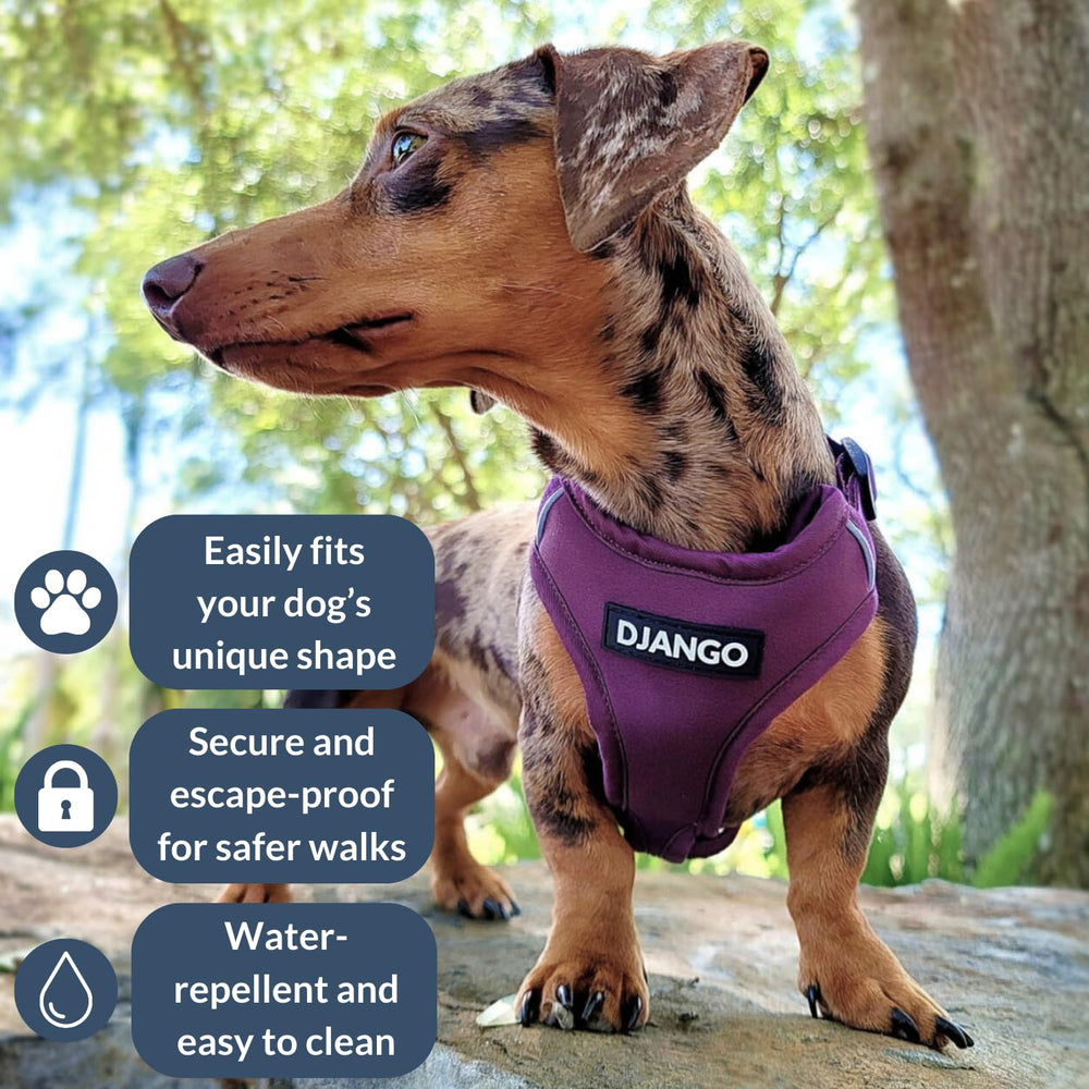 DJANGO harnais aventure pour chien moyen, vue latérale, ajustement facile et sécurité renforcée.