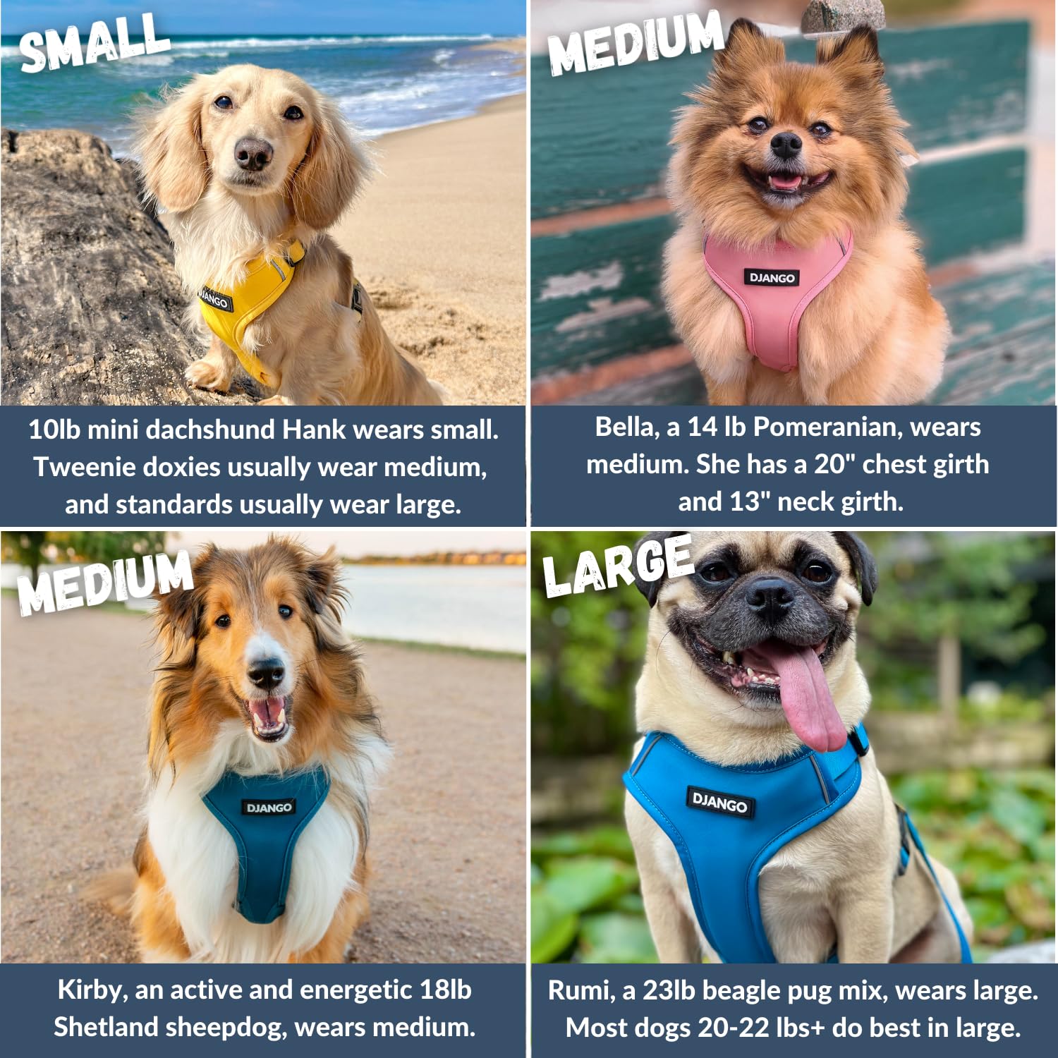 DJANGO harnais aventure pour chien moyen, vue dorsale, néoprène doux et durable.