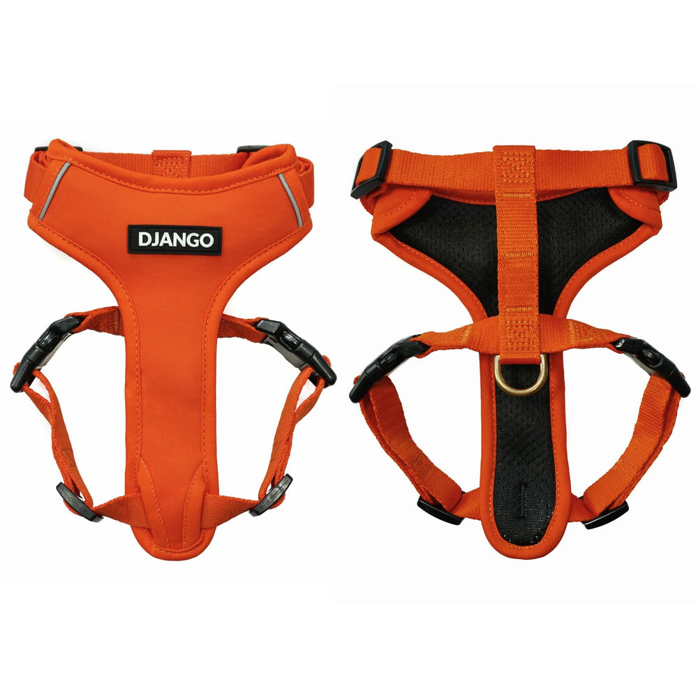 Harnais DJANGO en néoprène orange crépuscule, confort durable pour les sorties quotidiennes.