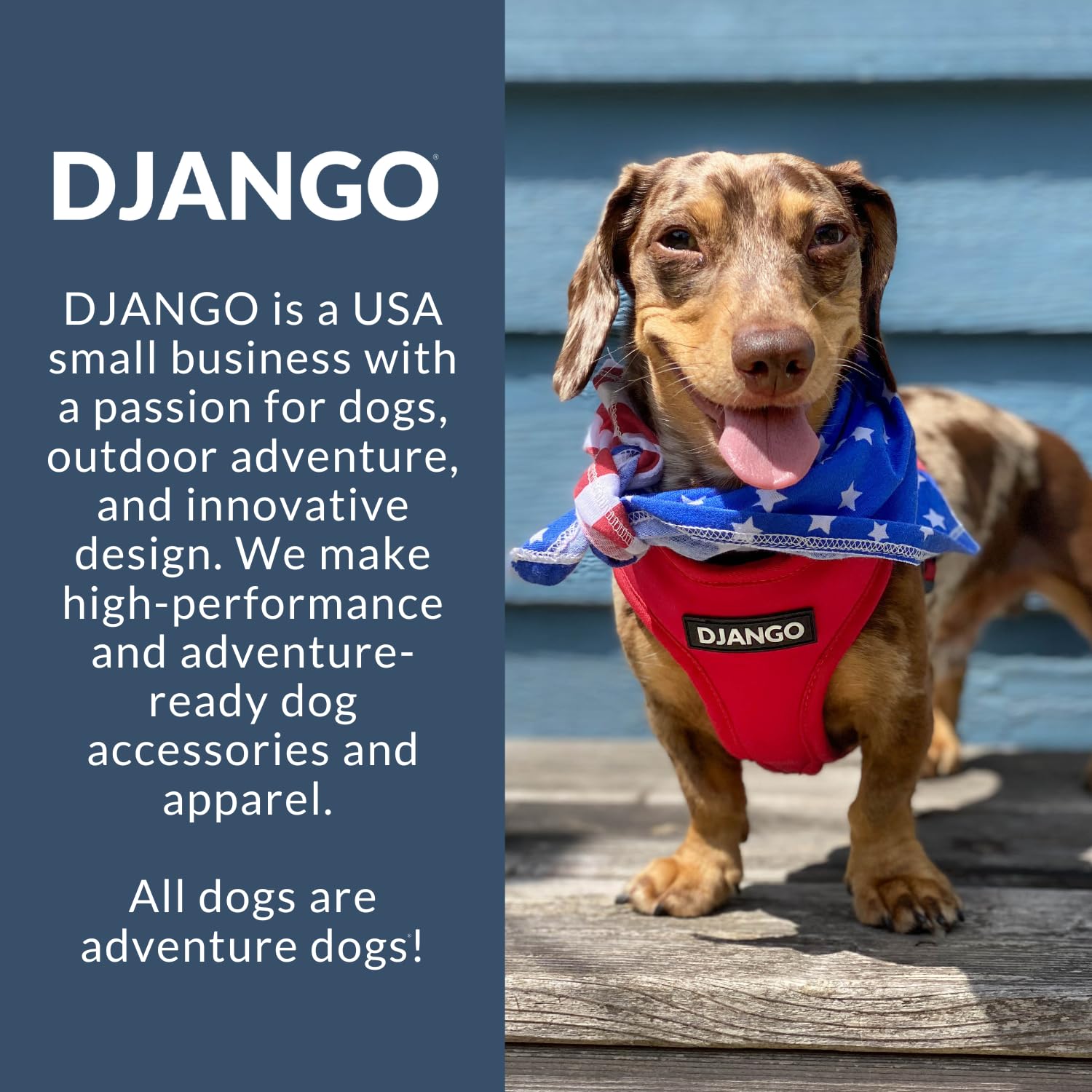 DJANGO Harnais Aventure, parfait pour balades quotidiennes et aventures en plein air.