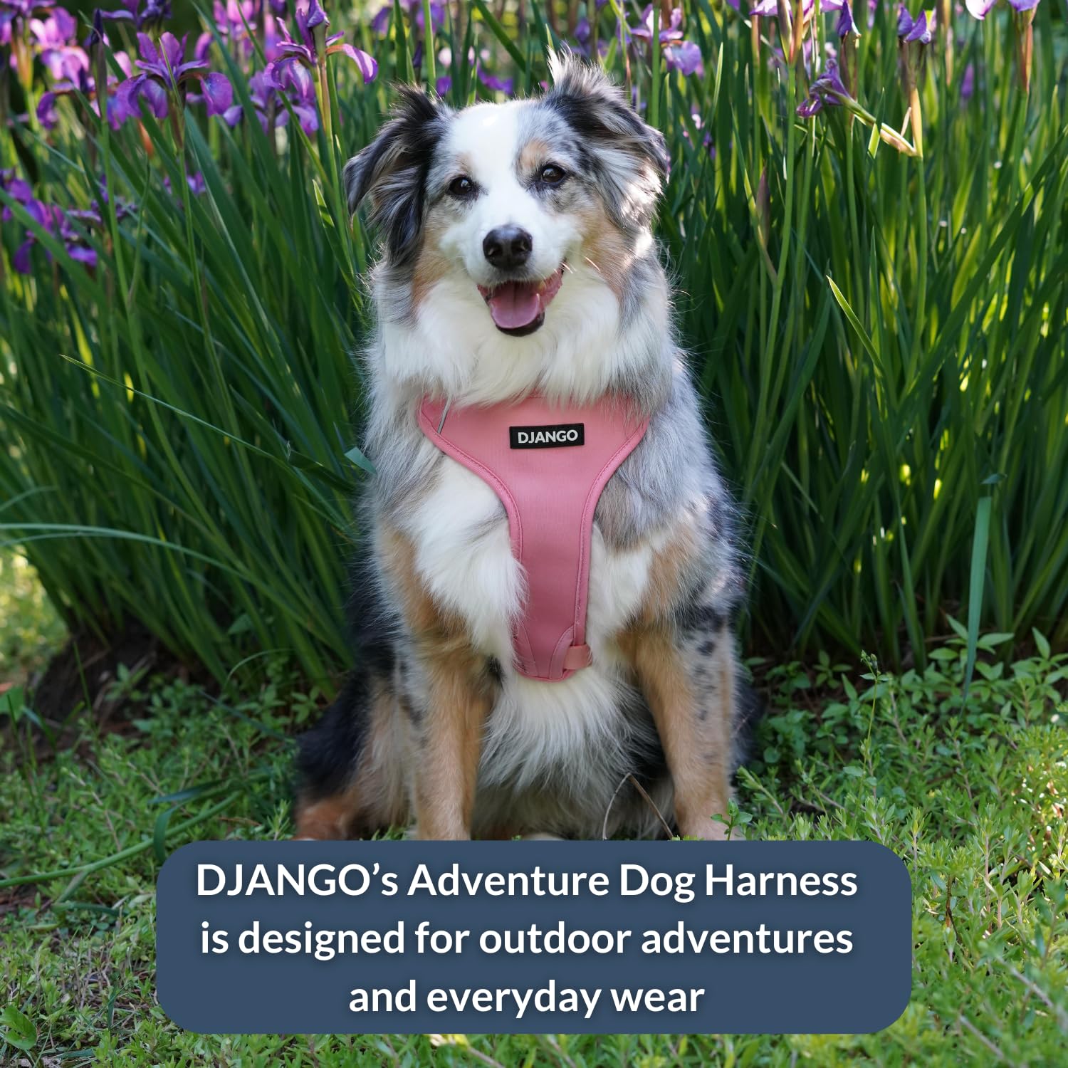 Conception renforcée du harnais DJANGO Adventure pour plus de solidité et longévité.