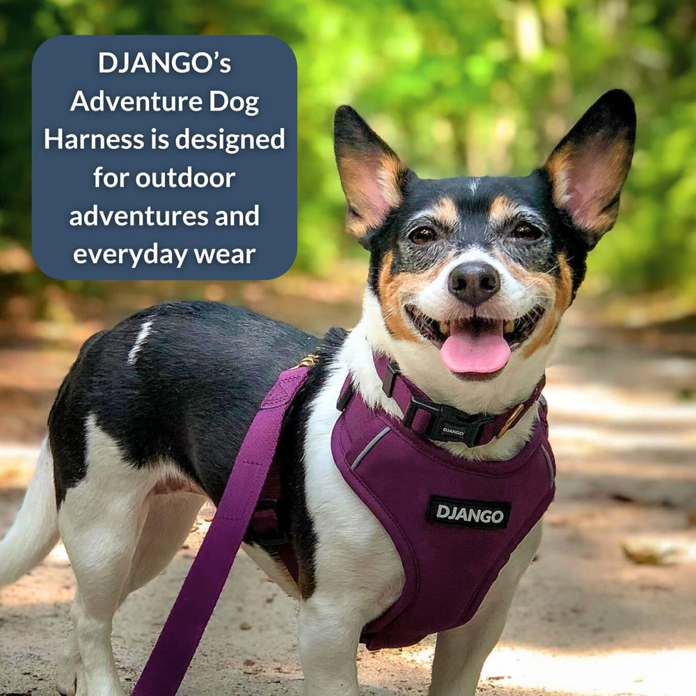 DJANGO harnais aventure, liseret réflexifiant pour une meilleure visibilité.