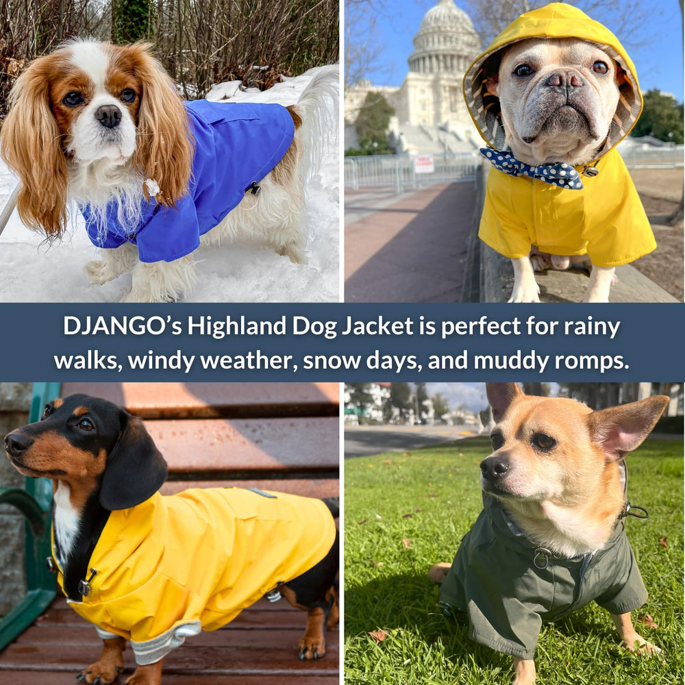 DJANGO Highland fermeture velcro facilite enfilage rapide et sûr.