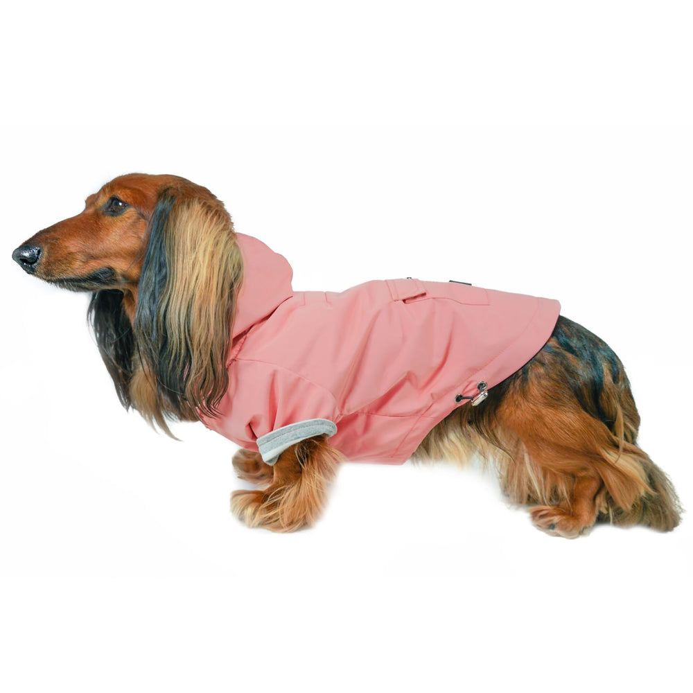 DJANGO Highland Jacket capuche imperméable protège le chien contre la pluie.
