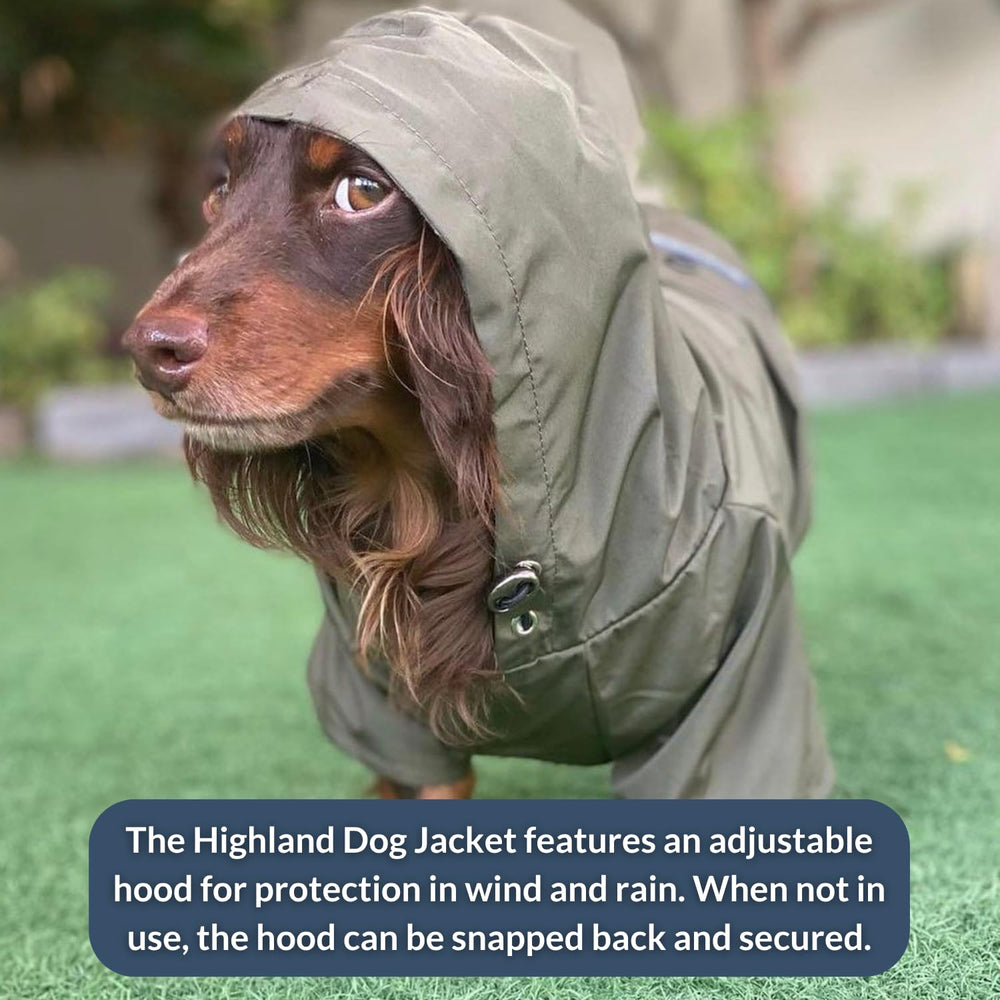 DJANGO Highland veste chien accessoires métalliques pour style et durabilité.