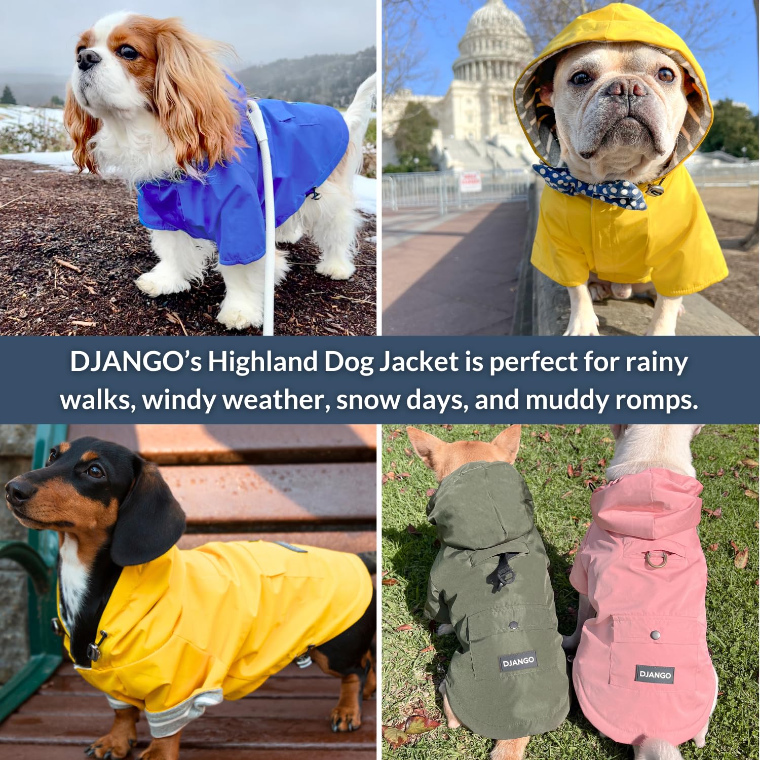 DJANGO Highland veste chien poches dorsales pour rangement léger après promenade.