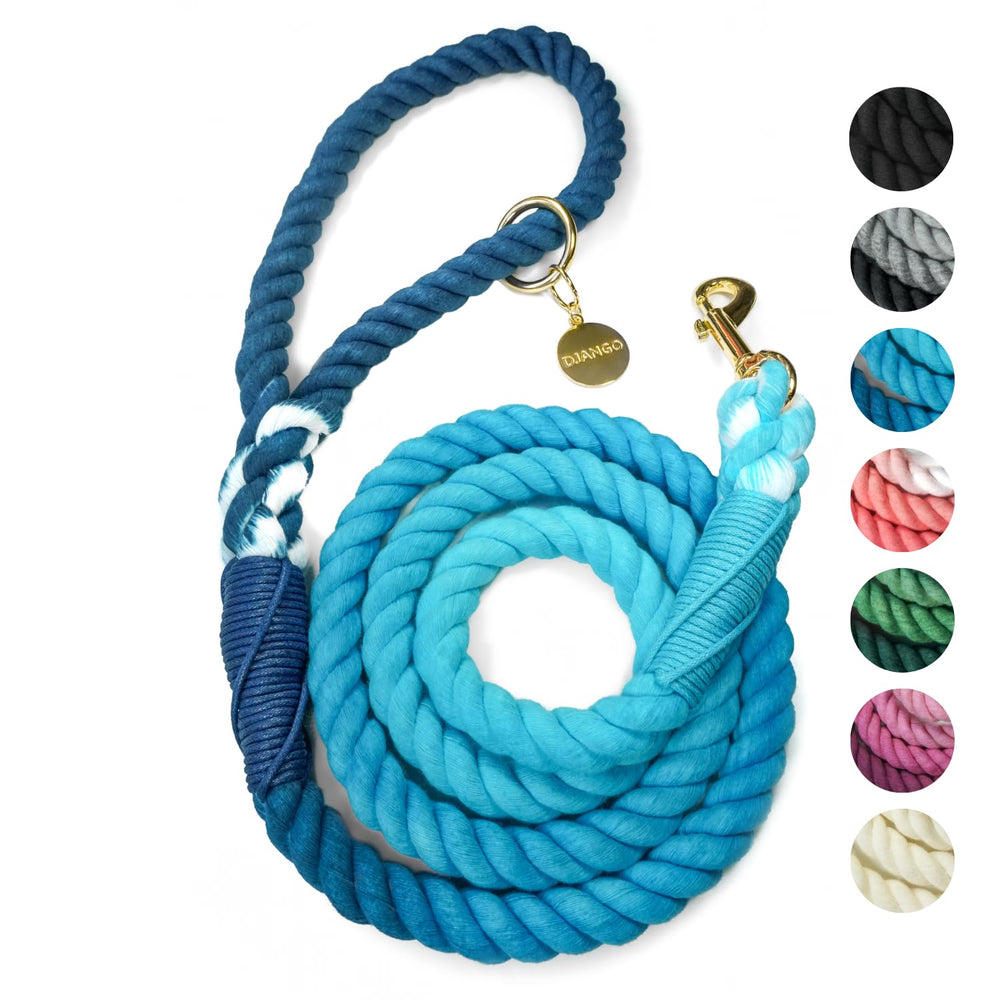 Laisse Django en coton ombré bleu pacifique pour chiens, style artisanal.
