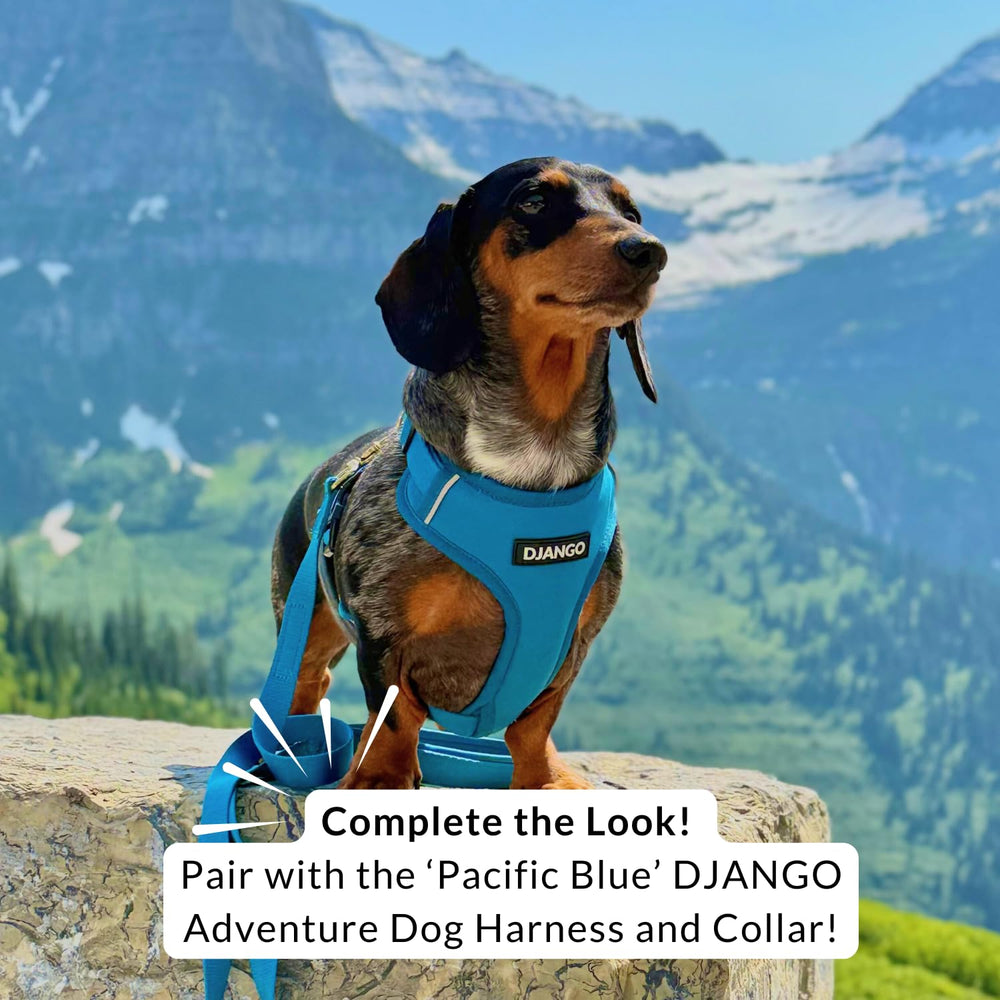 Laisse Django avec diamètre 0,6 pouce adaptée à toutes tailles de chien.