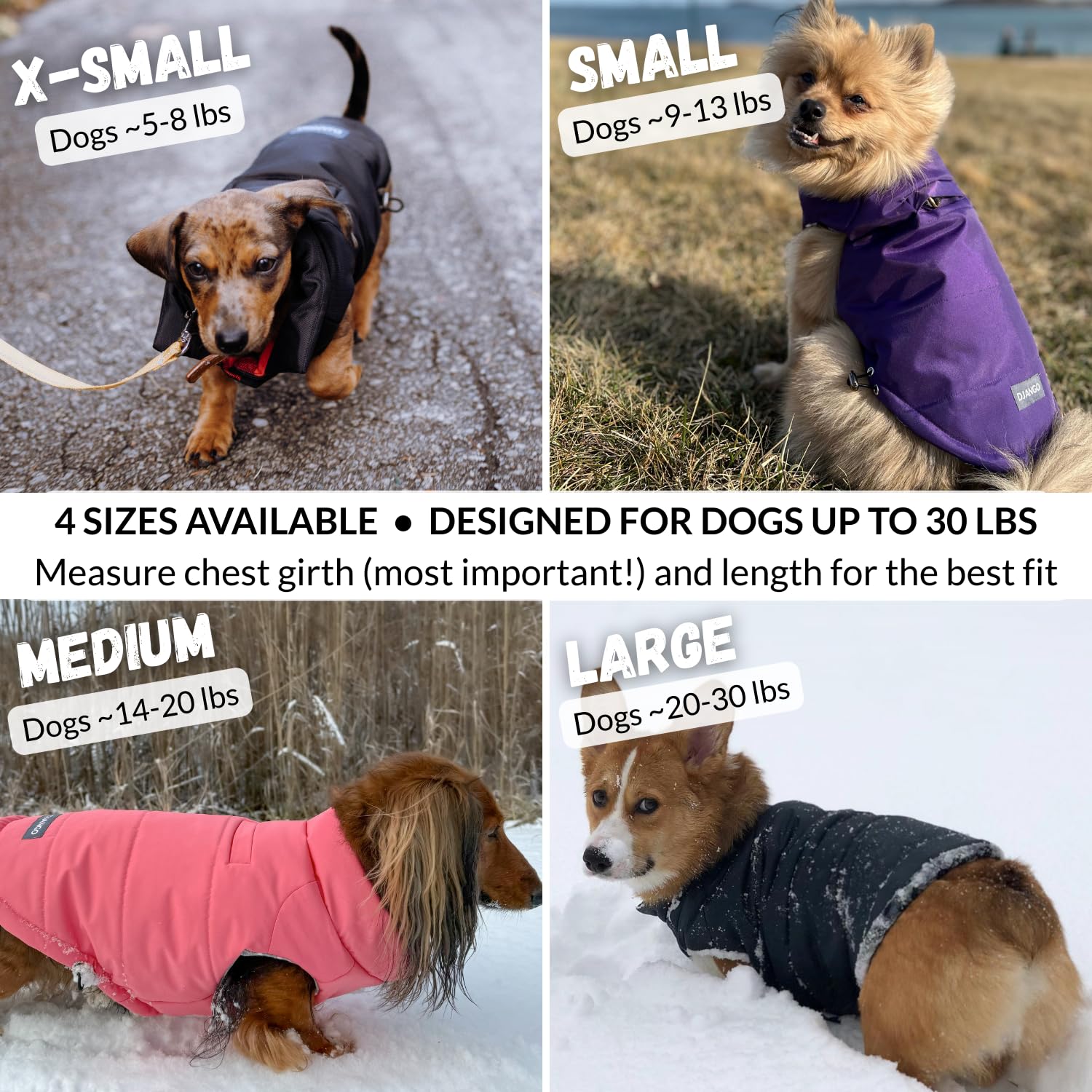 DJANGO veste canin ajustable par élastiques, ajustement dos et ventre pour meilleure couverture.