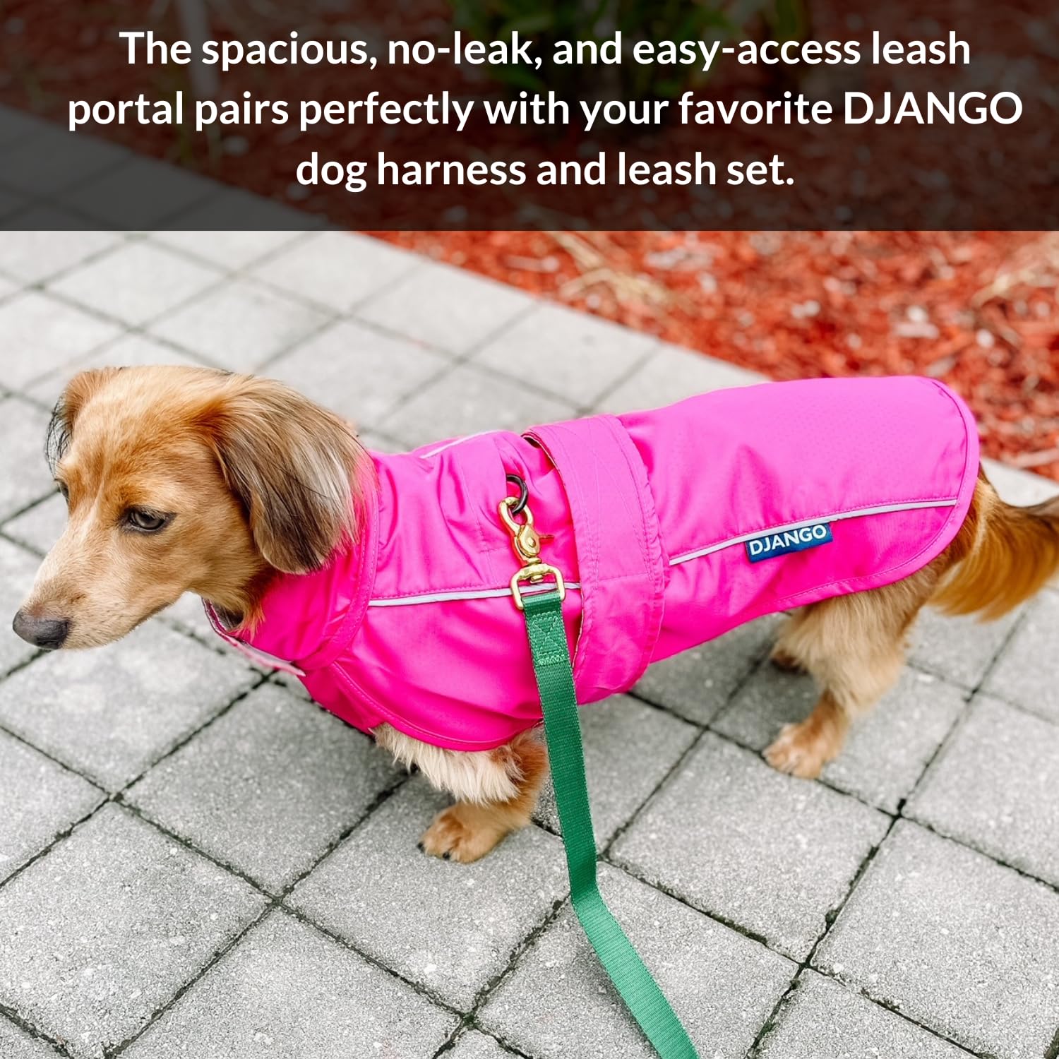 DJANGO manteau-chien compatibilité harnais avec maintien sécurisé lors d’activités actives.