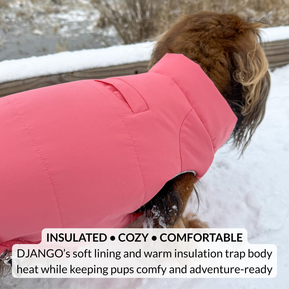 DJANGO compatibilité harnais convient avec les harnais DJANGO.