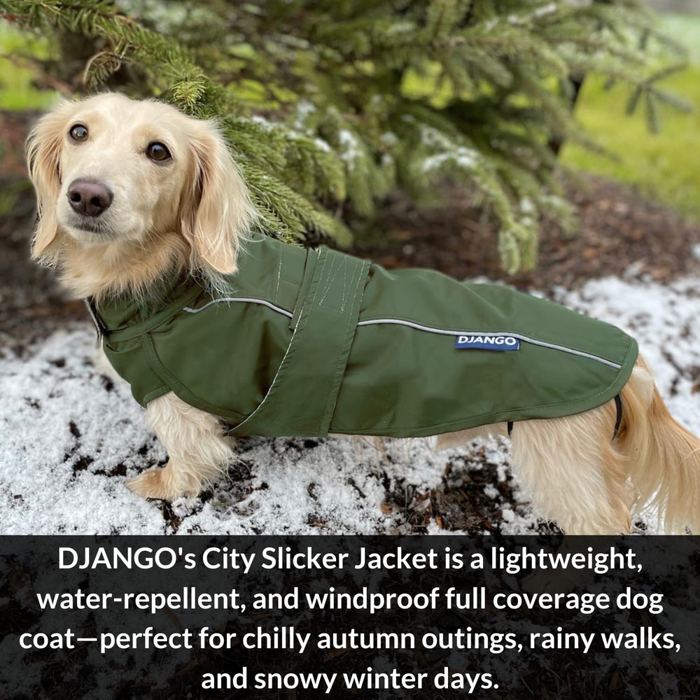 DJANGO manteau-chien réfléchissant améliore la visibilité lors des promenades matinales et crépusculaires.