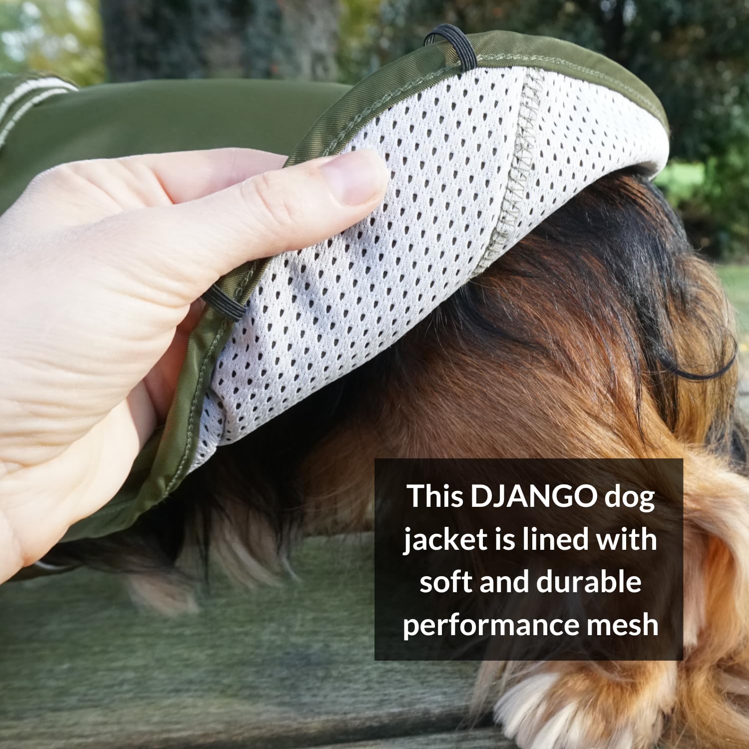 DJANGO manteau-chien sécurité et confort pour les sorties quotidiennes.