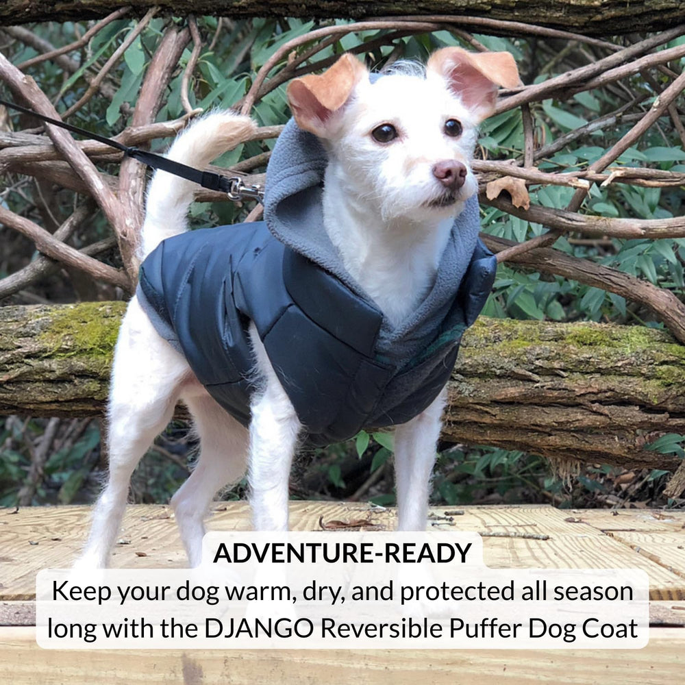 Manteau Django intérieur plaid carreaux chien: douceur chaleureuse pour sorties.