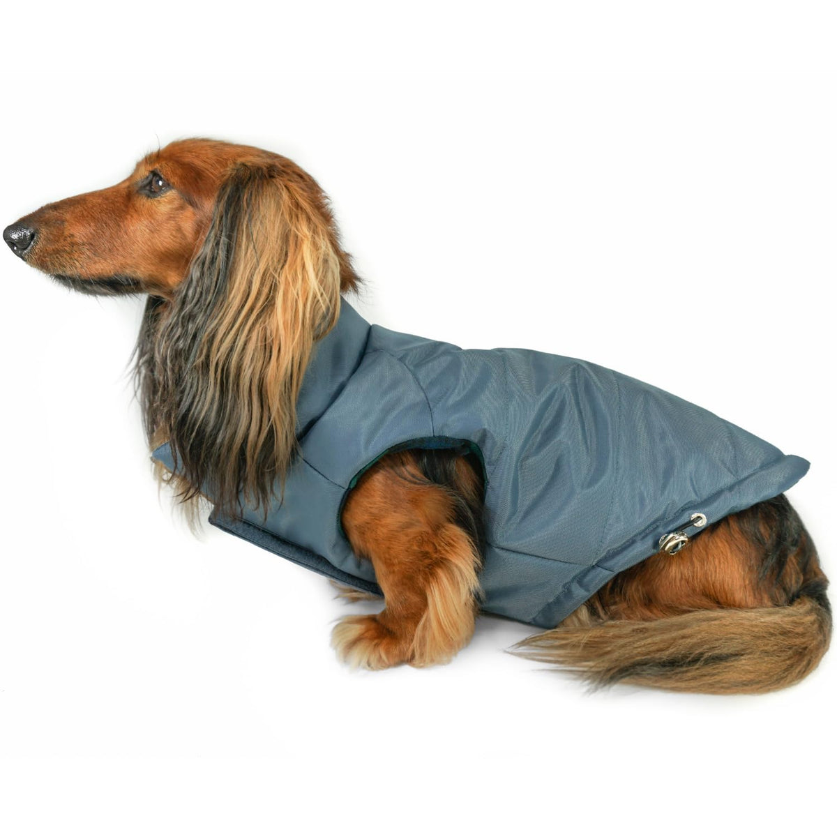 Manteau Django matelasse reversible chien extérieur: chaleur et protection contre le vent.