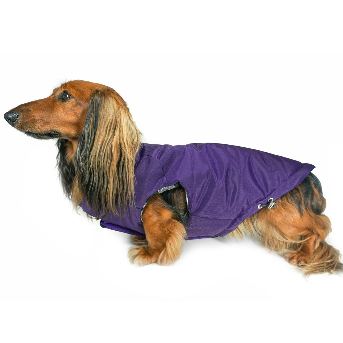 Manteau Django matelassé réversible — extérieur violet, parfait pour rester au chaud lors des sorties.