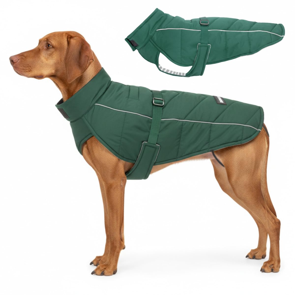 DJANGO manteau puffer pour chien avec trou harnais, pratique et ajustable.