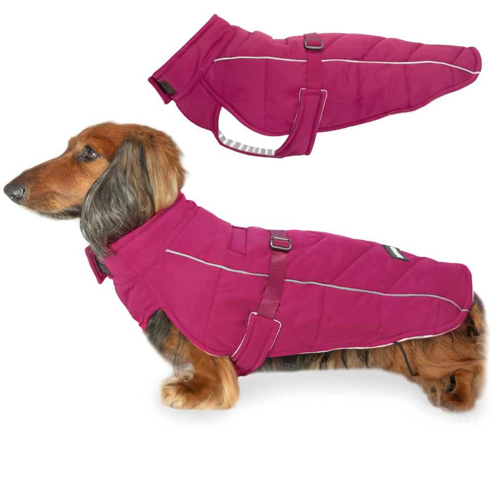 DJANGO manteau puffer pour chien, modele teckel, chaleur douce en hiver