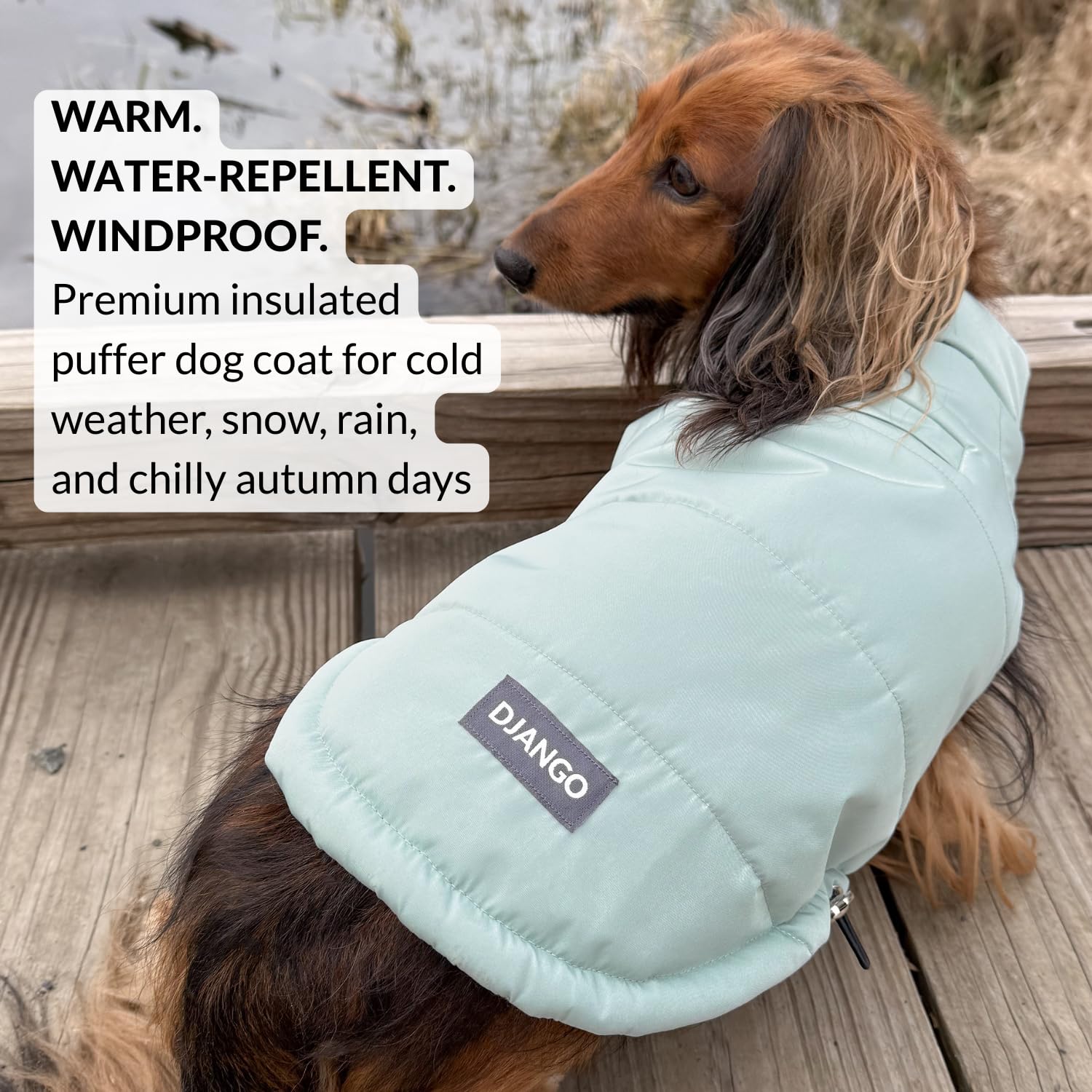 DJANGO manteau puffer chien vert océan — vue arrière, protection contre le vent et la pluie.