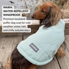 DJANGO manteau puffer chien vert océan — vue arrière, protection contre le vent et la pluie.