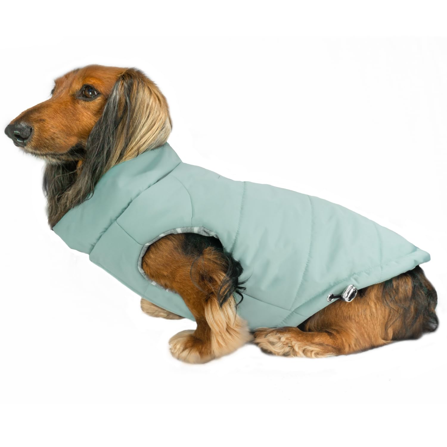 DJANGO manteau puffer pour chien vert océan — vue avant, chaleur durable pour les sorties hivernales.