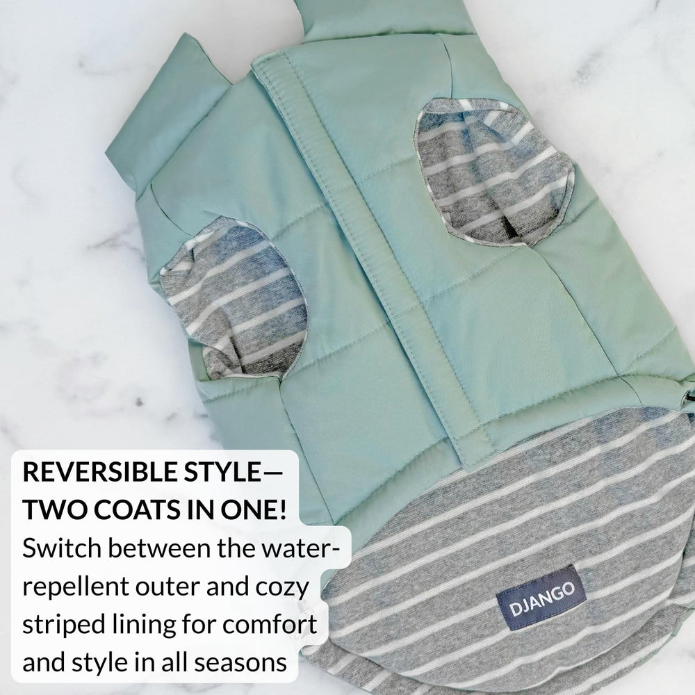 DJANGO manteau puffer chien vert océan — doublure rayée pour un confort douillet.