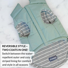 DJANGO manteau puffer chien vert océan — doublure rayée pour un confort douillet.