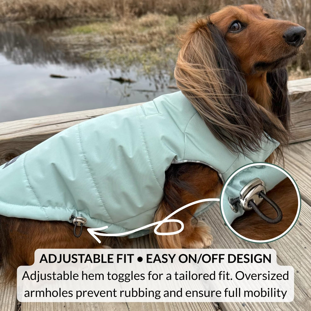 DJANGO manteau puffer chien vert océan — réglages de taille faciles pour un ajustement sûr.