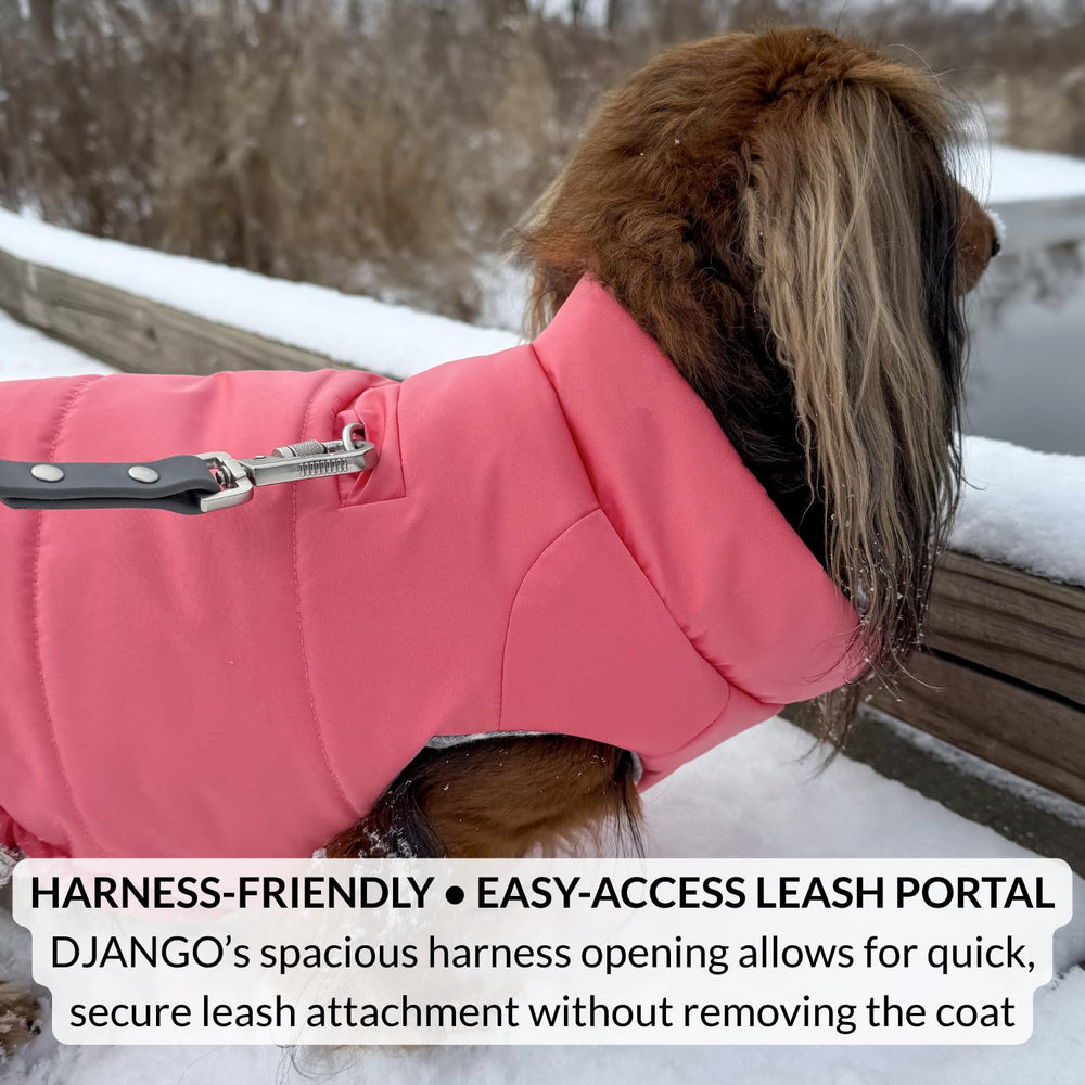 DJANGO manteau puffer chien vert océan — trou pour harnais pratique.