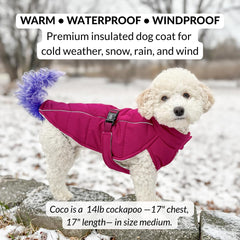 DJANGO manteau puffer impermeable pour chien, garde le chien sec sous la neige