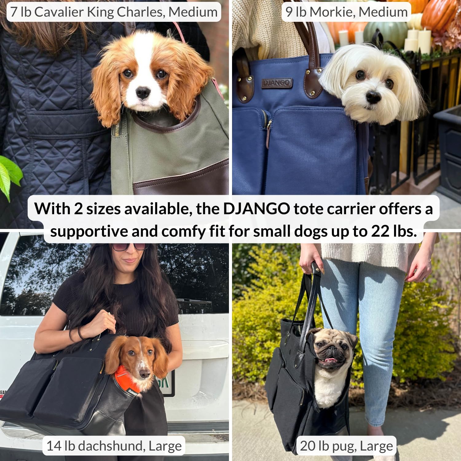 DJANGO sac chien poignée cuir olive pour transport élégant