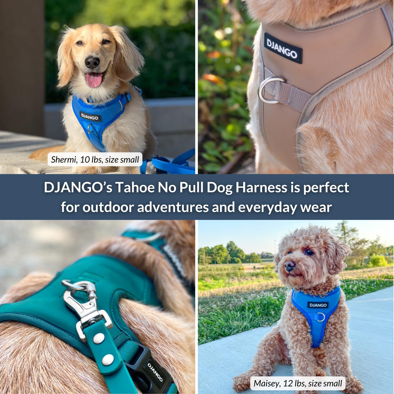 Harnais Django Tahoe Alpine Blue – liseret réfléchissant, meilleure visibilité en soirée.