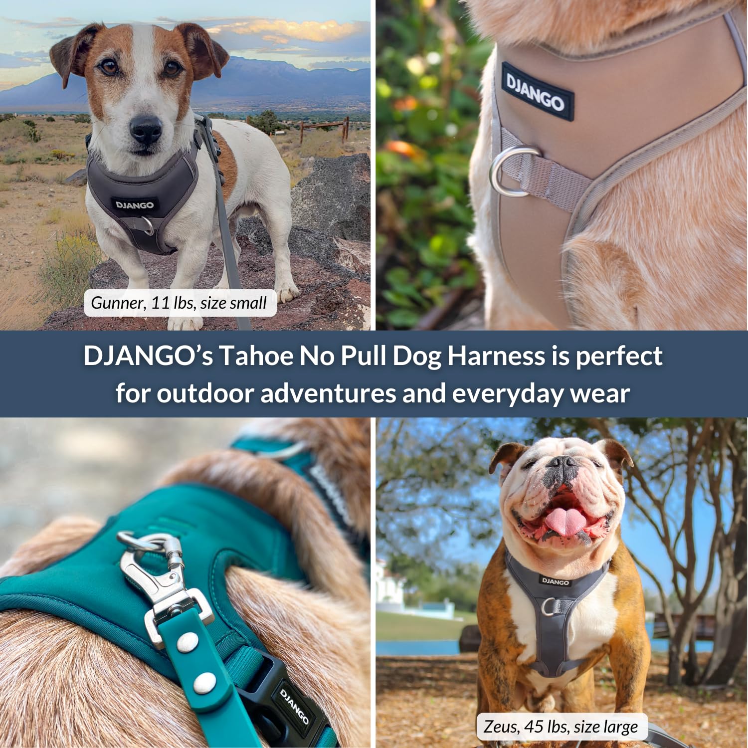 DJANGO Tahoe réglages quatre points, ajustement personnalisé selon la morphologie.