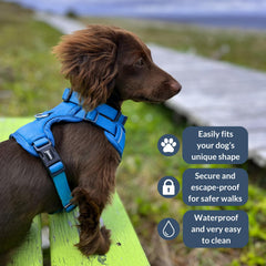 DJANGO Tahoe harnais chien vue arrière, ajustement précis et maintien fiable