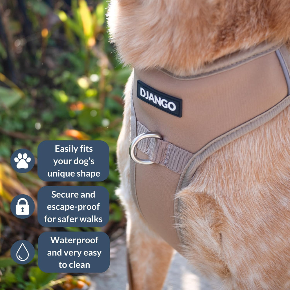 Harnais DJANGO Tahoe avec anneaux D à l’arrière pour promenades quotidiennes en sécurité.